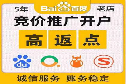 行业领先企业的sem竞价策略：成功案例剖析
